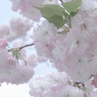 Furry角色动作绘画技巧Furry群